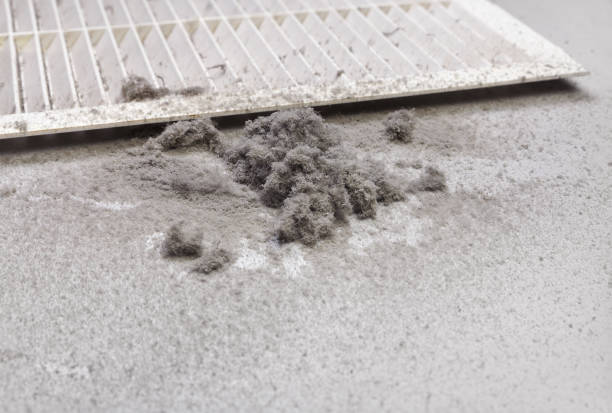 Best Ventilation Cleaning Services  in Morristown, IN
