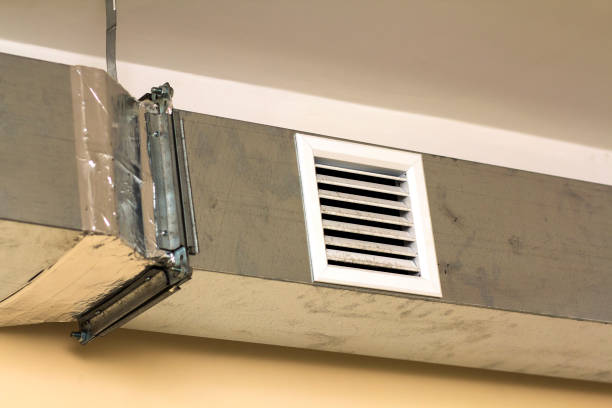 Best Affordable Duct Cleaning Services  in Morristown, IN